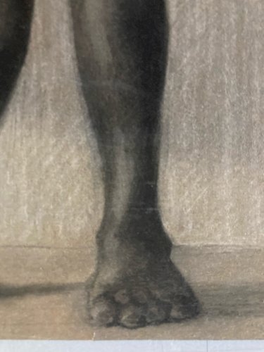 Fusain Enfant orientaliste orientalisme XIXE Afrique Ethnologie Ethnographie Art