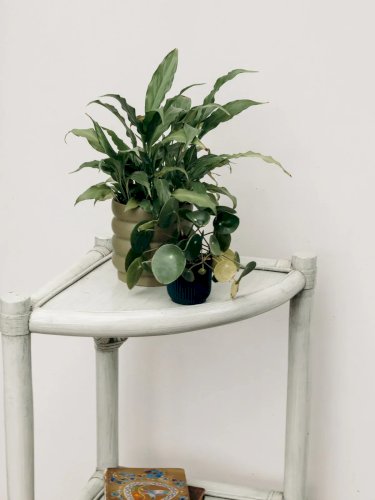 Gaëlle, l'étagère en rotin N°113