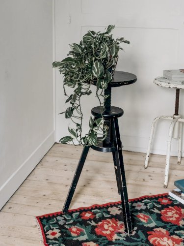 Gaston, le tabouret de bar en bois réglable N°14