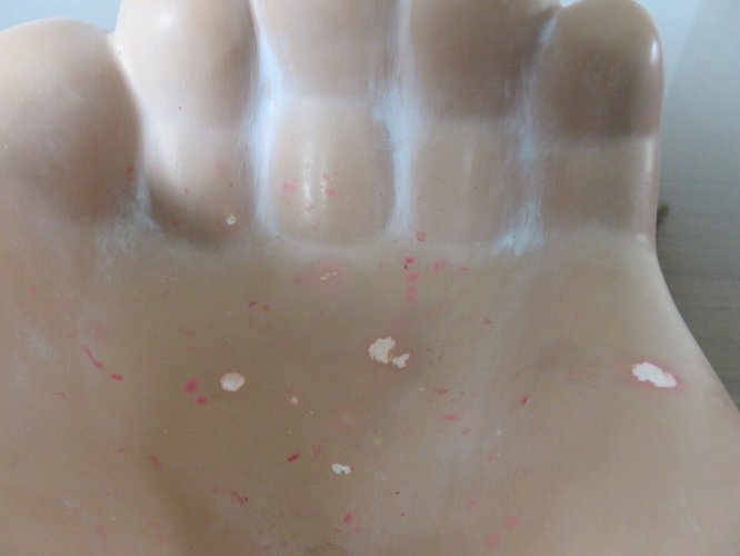 GEANT VIDE POCHE EN FORME DE MAIN EN CERAMIQUE ANNEES 50 60 