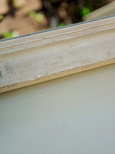 Georges, le miroir en bois N°584