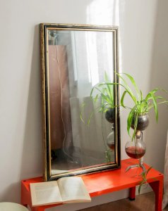 Georges, the wooden mirror No. 817