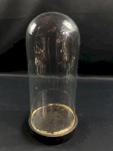 19th-century cylindrical globe in glass on a blackened wood base, Napoleon III.