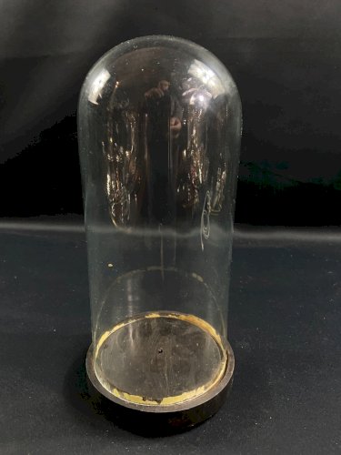 Globe cylindrique XIXe en verre sur socle en bois noirci Napoléon III