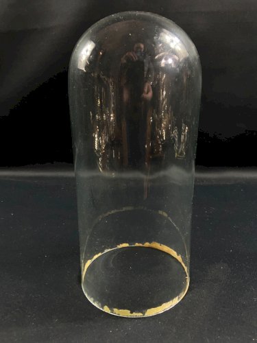 Globe cylindrique XIXe en verre sur socle en bois noirci Napoléon III