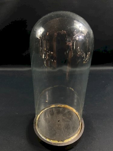 Globe cylindrique XIXe en verre sur socle en bois noirci Napoléon III