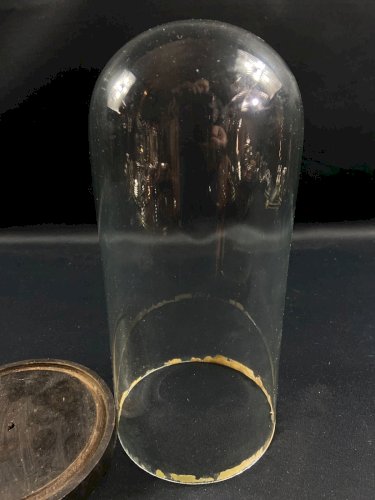 Globe cylindrique XIXe en verre sur socle en bois noirci Napoléon III