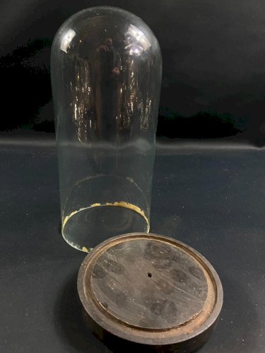 Globe cylindrique XIXe en verre sur socle en bois noirci Napoléon III