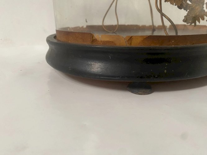 Globe de Mariée ancien en verre soufflé XIX siècle