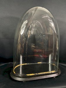 Globe en verre soufflé XIXe Napoléon III sur socle en bois noirci