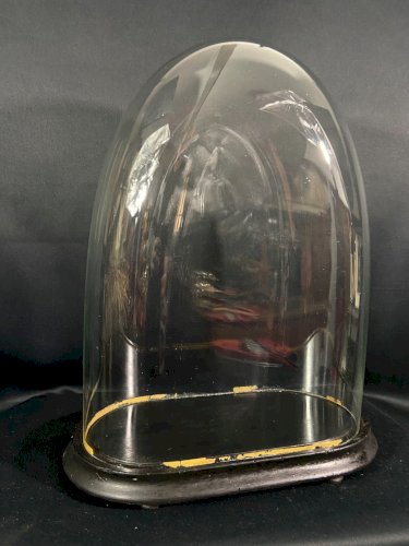 Globe en verre soufflé XIXe Napoléon III sur socle en bois noirci