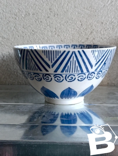 grand bol en porcelaine chinois decor feuillage en bon etat