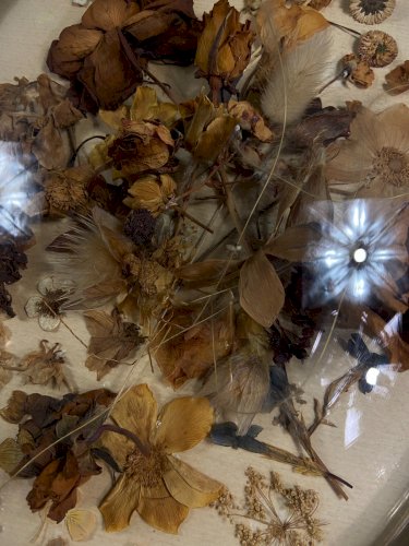 Grand cadre de mariage en bois doré à vue ovale & verre bombé XIXe Napoléon III