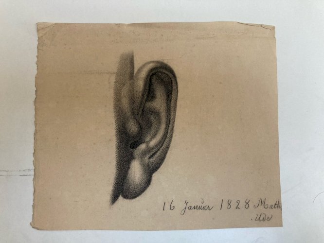 Grand Dessin antique Oreille Anatomie 1828 Portrait Crayon XIXe Curiosité