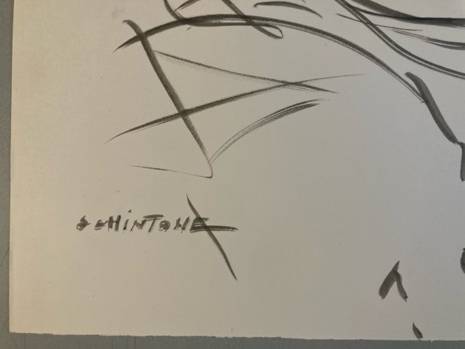 Grand Dessin Daniel Schintone DESSIN Encre  Portrait Expressioniste Femme Vent