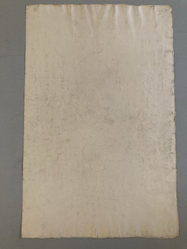 Grand Dessin Mine De Plomb xixe Crayon portrait jeune femme art buste