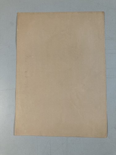 Grand Dessin Mine De Plomb xixe fusain portrait jeune femme art buste