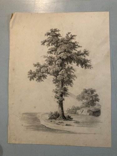Grand Dessin XIXe 1850 crayon Feuille Branche Romantisme Arbre Ancien Rocher Art