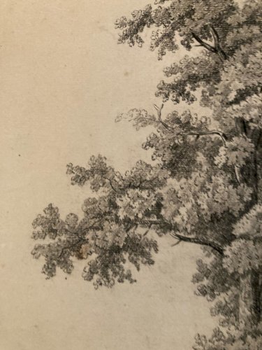 Grand Dessin XIXe 1850 crayon Feuille Branche Romantisme Arbre Ancien Rocher Art