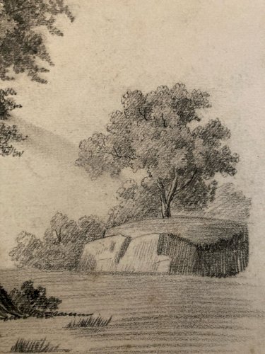Grand Dessin XIXe 1850 crayon Feuille Branche Romantisme Arbre Ancien Rocher Art