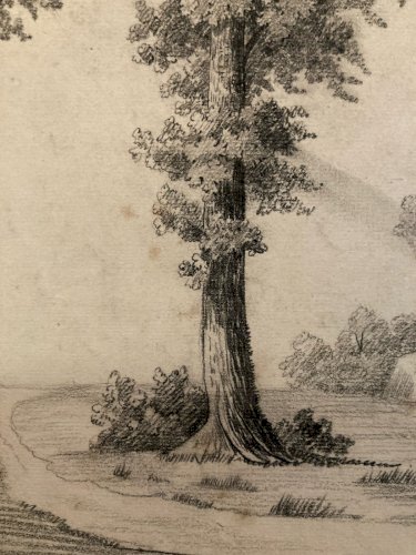 Grand Dessin XIXe 1850 crayon Feuille Branche Romantisme Arbre Ancien Rocher Art