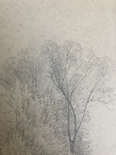 Grand Dessin XIXe 1850 crayon Jardin Tour Romantisme Arbre Ancien A Identifier