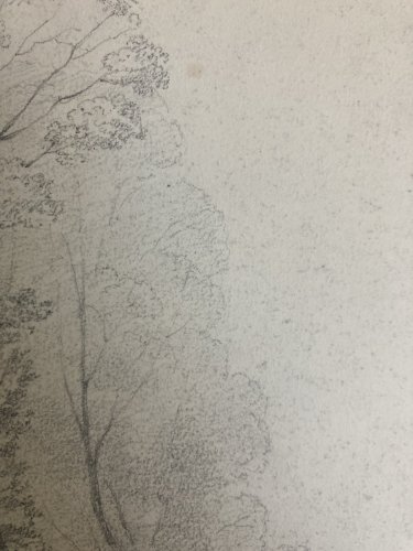 Grand Dessin XIXe 1850 crayon Jardin Tour Romantisme Arbre Ancien A Identifier