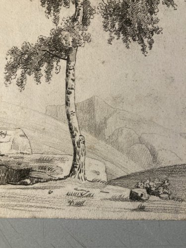 Grand Dessin XIXe 1850 crayon Paysage Arbre Ancien A Identifier Feuille Étude
