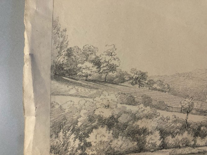 Grand Dessin XIXe 1850 crayon Paysage Arbre Forêt Ancien A Identifier Feuille