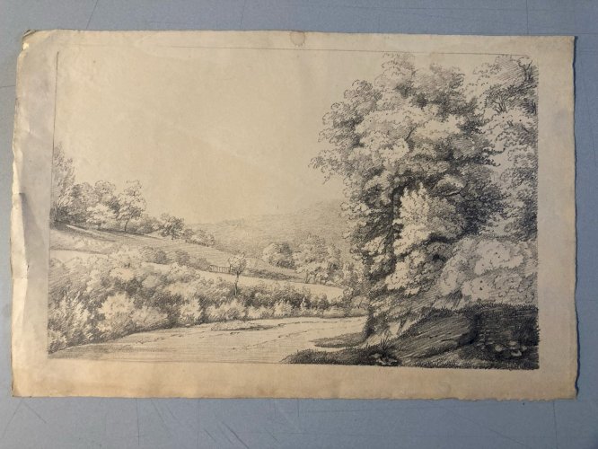 Grand Dessin XIXe 1850 crayon Paysage Arbre Forêt Ancien A Identifier Feuille
