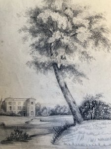 Grand Dessin XIXe 1850 crayon Paysage Etude Arbre Ancien A Identifier Château