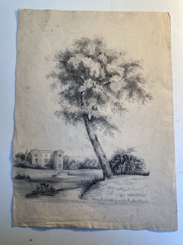 Grand Dessin XIXe 1850 crayon Paysage Etude Arbre Ancien A Identifier Château