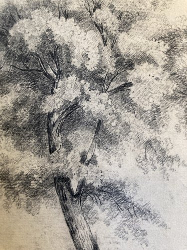 Grand Dessin XIXe 1850 crayon Paysage Etude Arbre Ancien A Identifier Château