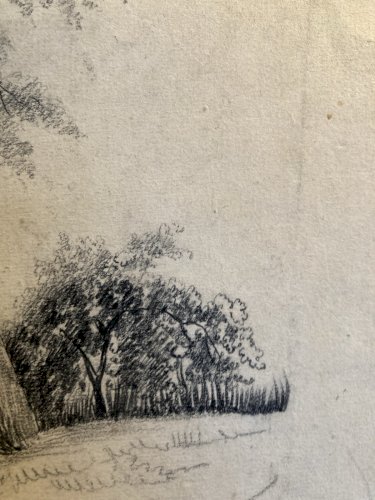 Grand Dessin XIXe 1850 crayon Paysage Etude Arbre Ancien A Identifier Château