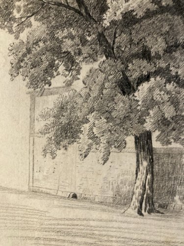 Grand Dessin XIXe 1850 crayon Paysage Etude Arbre Ancien A Identifier Feuille