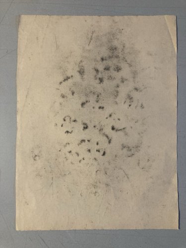 Grand Dessin XIXe 1850 crayon Paysage Etude Arbre Ancien A Identifier Feuille