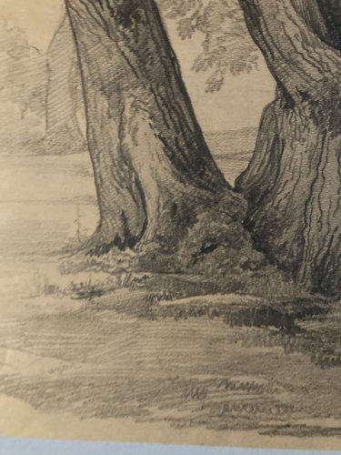 Grand Dessin XIXe 1888 crayon Feuille Branche Romantisme Arbre Ancien Tronc Art
