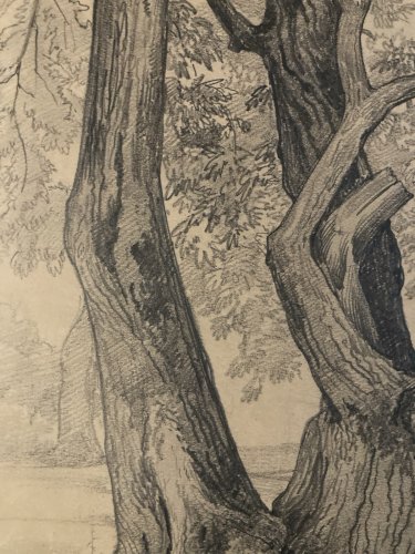 Grand Dessin XIXe 1888 crayon Feuille Branche Romantisme Arbre Ancien Tronc Art