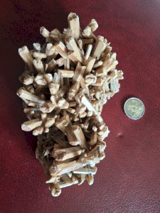 Large gypsum, length 17.5 cm, very good condition.