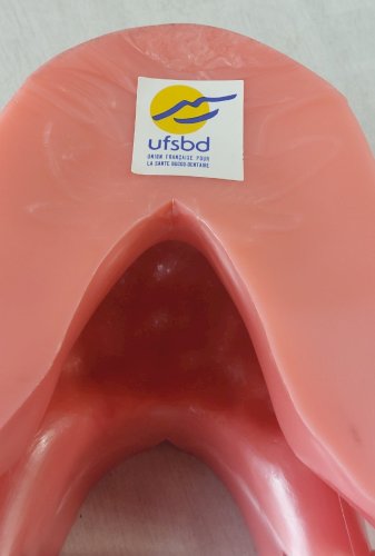 Grand modèle mâchoire dentaire éducative, objet de curiosité, UFSBD