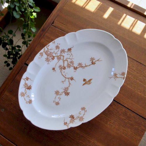 Grand plat ovale ancien en porcelaine de Limoges Haviland, décor oiseaux
