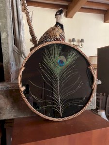 Large vintage rattan tray with rope and peacock feather ?