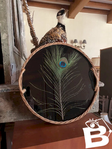 Grand plateau vintage rotin corde et plume de Paon ?