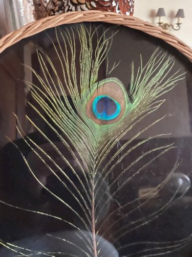 Grand plateau vintage rotin corde et plume de Paon ?