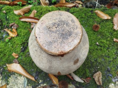 dot