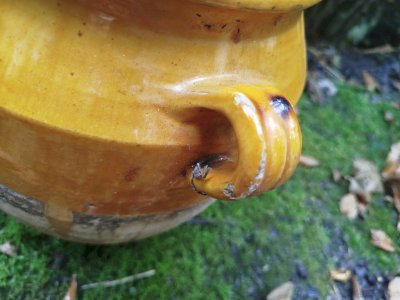 dot