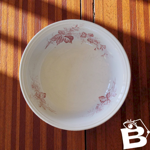 Grand saladier XIXe terre de fer Imperial Bonn