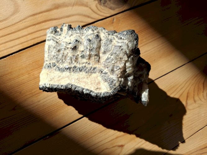 Grand specimen de quartz fumé 1 KG