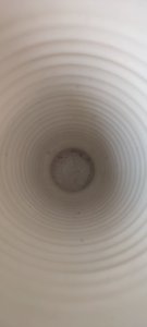 dot
