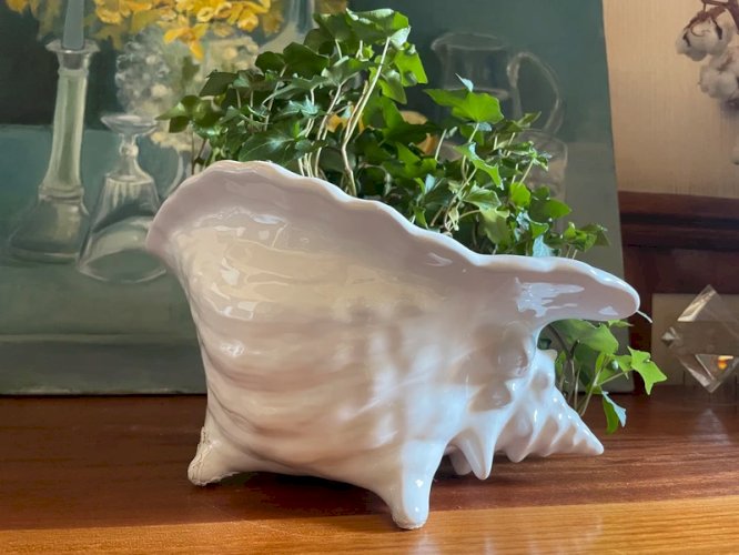 Grand vide poche ou cache pot coquillage vintage